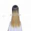 Styler Brand two tone color long cosplay wig cheap fashion fiber machine to make synthetic hair