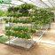 Greenhouse Indoor Hydroponic Channels Set Hydroponic Growing Systems