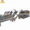 Bubble type fruit and vegetable washing machine , clean vegetable processing line