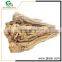 high quality cheap medicinal material angelica root extract