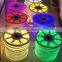 IP65 Strip Neon Rope Light 110V 220V 24V 12V RGB LED Neon Light