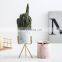 Ceramic Succulent Planter Creative Porcelain Mini small Pink Ceramic Flower Pots With Gold Black Metal Stand
