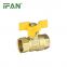 IFAN Wholesale Manual Brass Ball Valve Female and Male Natural Gas Ball Valve