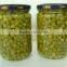 canned green peas in brine with best price