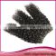 New Arrival Unprocessed Wholesale 100% Virgin Brazilian Hair All Virgin Hair Boutique Virgin Brazilian Kinky Curly Hair