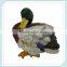 Beautiful garden duck ornaments