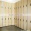 0.6-25mm fantastic decorative durable phenolic HPL lockers