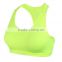 Adults Age Group and Women Gender sports bra 2008