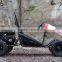 Kids Go Kart 200cc 6.5HP Gas Powered Racing Kids Go Kart 2016 Design
