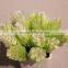 Cheap Plastic Artificial Potted Flower Pine Needle Flower Bonsai in White Ceremic Pot
