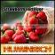 Huminrich Shenyang K Humic Acid With Fulvic Acid Micromix Fertilizer