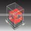 top grade acrylic figurine display case
