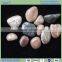Polished river stone pebbles