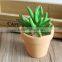 High Quality Artificial Succulent Plants Export Succulent Plants