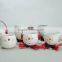 Factory Design Fashion Samll Flower Pot Painting Design