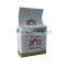 ZB500N Vacuum Inside Packaging Machine