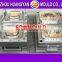 2 cavity oval box thin wall mold