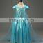 2015 New Fashion Pageant Dress baby princess Bridesmaid Party Flower Girl Dresses elsa dress Princess girls christmas dress