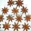Flavoring Agent Good Aroma Star Aniseeds