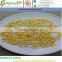 Yellow Feed Corn Ukraine Origin l Maize l Price l Animal l Human l NON GMO