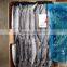 Frozen Pacific Saury For Canned