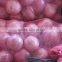 price of onions 2015 crop