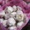 Chinese garlic2015 crop hot sale