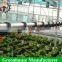 Best commercial automatic irrigation system