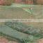 75D 100D Olive Green LLIN Deltamethrin Against Malaria 100x200x150cm polyester taffeta Army Mosquito Net