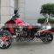 Hot Design 250cc 4 Stroke Water Cooled China Dune Buggy (AT2505)
