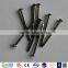 iron nail 1''-6''/ cheap price iron wire nail /iron nail common nail