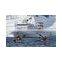Attractive appearance 2 pieces fishing kayak paddle