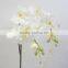 Wholesale Silk Orchid Flowers And Supermarkets Selling Products in The European