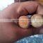 Burned Rattan Escrima Arnis Stick Kali Fighting Striking Martial Arts Weapon 1" x 28" Fighting Sticks