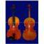 Supply violins