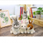 Lovely  Plush Rabbit CE/EN71 Healthy Peluches Pelucia Rabbit Toy Stuffed Animal