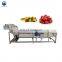 apple pear tomato washing machine fruit cleaning machine vegetable washing machine