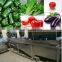 tomato eggplant vegetable washing machine