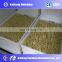 Good Service After Sale Mung Bean Sprout/Sprouting Machine