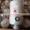 Heavy Trucks Diesel Fuel Filter FS19608 Price