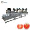Wide Application Leafy Vegetable Lettuce Spinach Fruit and Vegetable Washing Machine with Drying Function