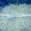 Sinocharm Top Quality New Season Fresh Organic IQF Frozen Green Mung Bean Sprout