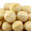 standard process private label affordable price import nuts gifts  macadamia roasted nuts