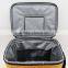 Fancy Design Quality Insulated Lunch Cooler Bag Zero Degrees Inner Cool Lunch Cooler Bag With Removable Window