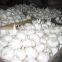 Garlic Tops Roots Cutting Machine Garlic Cutter for Removing the Stems and Roots