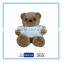 Custom Plush Teddy Bears Wholesale