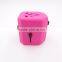 Fashion Business Gift Classic Design Pink Our Patent Swiss Canada Australia All In One universal World Travel Adapter with 2 USB