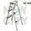 Household ladder