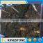 imported granite persa imperial slab for kitchen