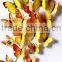 12Pcs 3D Butterfly Wall Sticker Fridge Magnet Home Decor Art Applique